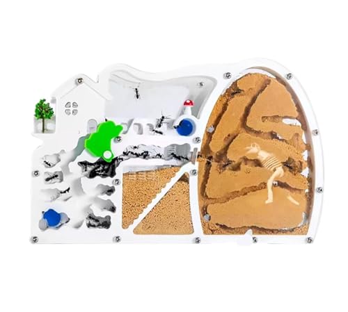 Ameisenfarm für Erwachsene Sandameisenfarm, Ameisenburg, Lebensraum Mit Dinosauriern Für Studium Des Ökosystems Und Verhaltens Von Ameisenkolonien, Pädagogisch Wertvoll Ameisen Terrarium(Orange) von AMYSTY