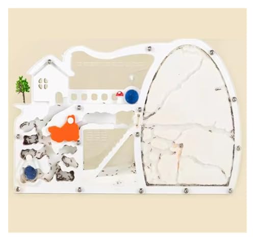 Ameisenfarm für Erwachsene Sandameisenfarm, Ameisenburg, Lebensraum Mit Dinosauriern Für Studium Des Ökosystems Und Verhaltens Von Ameisenkolonien, Pädagogisch Wertvoll Ameisen Terrarium(White) von AMYSTY