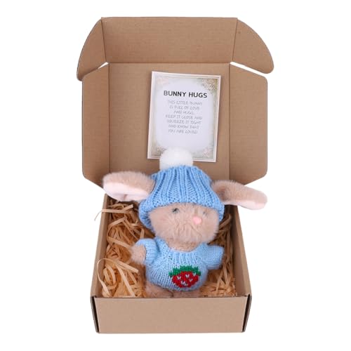 AMZLORD Mini Bunny Umarmung süßes Ostergeschenk Osterhase gefülltes Tier (blau mit Licht) von AMZLORD