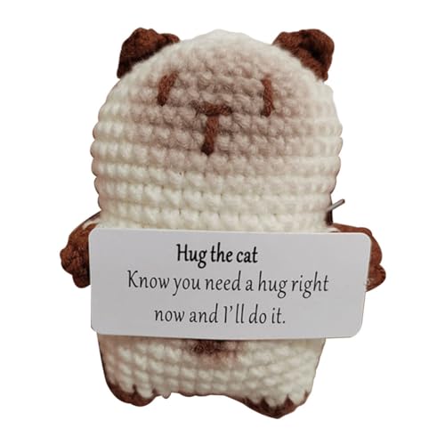 AMZLORD emotionaler Unterstützung Spaß Stress lindern Spielzeug mit positiver Bestätigungskarte kreativer Strick Puppen gestrickt Puppengeschenke for Frauen und Männer von AMZLORD