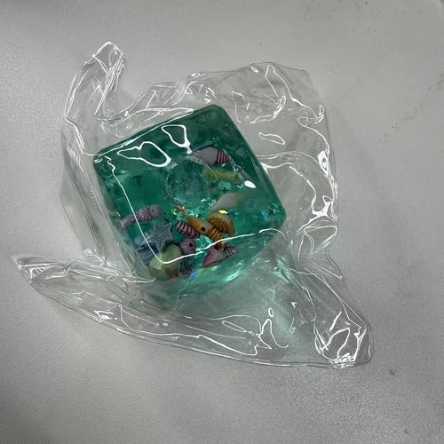 Anboor Stressball-Würfel, Eiswürfel-Fidget-Spielzeug mit blauen Ozean-Muscheln innen, weiches Slow-Rise Anti-Stress-Sensorik-Spielzeug für Erwachsene & Teenager, Klassenraum-Preise Anboor Stressball-Würfel, Eiswürfel-Fidget-Spielzeug mit blauen Ozean-Muscheln innen, weiches Slow-Rise Anti-Stress-Sensorik-Spielzeug für Erwachsene & Teenager, Klassenraum-Preise von ANBOOR