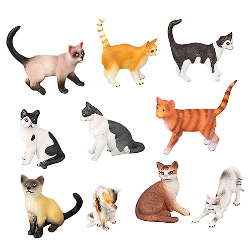 ANDRESLAD Adorable Katzenmodell Teilig Miniatur Katzenfiguren Sammlung Deko für Lernspielzeug Katzenliebhaber von ANDRESLAD