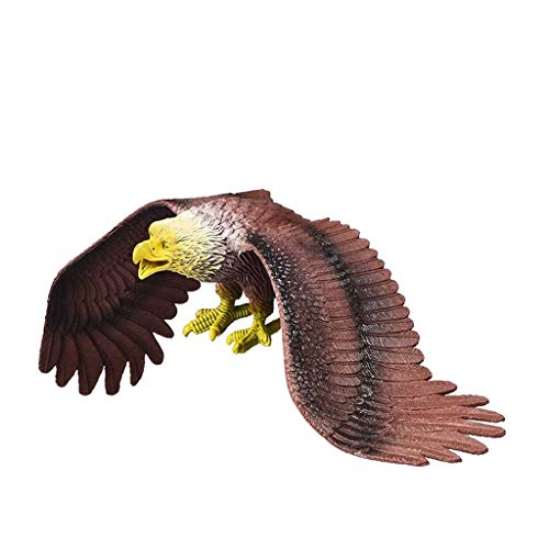 ANMITI Figur Simulation Vogel Festes Statisches Modell Interaktiver Realistischer Kinderminiatur Sammlerspielzeugsimulation Festes Statisches Modell ANMITI Figur Simulation Vogel Festes Statisches Modell Interaktiver Realistischer Kinderminiatur Sammlerspielzeugsimulation Festes Statisches Modell von ANMITI