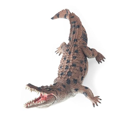 ANMITI Simulation Alligatoren Modellfigur Verschleiß Widerstand Kinder Wildanimal Kognitive Sensorische Entwicklung Figur Desktop Decors Dekore Bildungs Replikate Spielzeug ANMITI Simulation Alligatoren Modellfigur Verschleiß Widerstand Kinder Wildanimal Kognitive Sensorische Entwicklung Figur Desktop Decors Dekore Bildungs Replikate Spielzeug von ANMITI