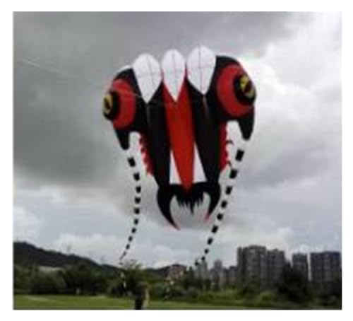 ANNESEY 16 m² großer, weicher, aufblasbarer Kite-Pilot-Kite, Trilobit, 40D-Ripstop (Color : 16 K) von ANNESEY