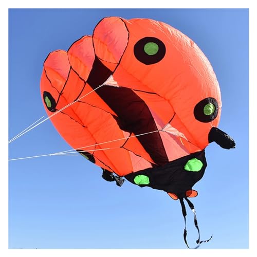 ANNESEY 2㎡ / 5㎡ Marienkäfer-Drachen, Pilot-Lifter-Drachen, einleiniger weicher aufblasbarer Show-Drachen, 30D-Ripstop-Nylon (Color : 5sqm 2.4m Orange, Size : Kite) von ANNESEY