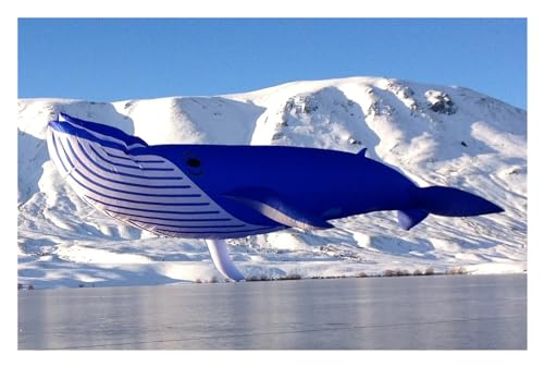 ANNESEY 30D 9M aufblasbarer Wal-Softdrachen, Riesendrachen-Strandshow-Nylondrachen, reißfester und leicht zu Fliegender Wäsche-Anhängerdrachen (Color : Blue) von ANNESEY