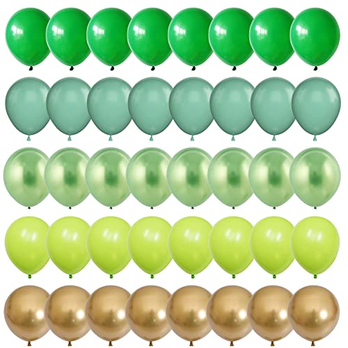 Luftballons Grün, 60 Stück 12 Zoll Sage Grüne Ballons, Dunkelgrüne Luftballons, Hellgrüne Luftballons, Metallic Grüne Gold Helium Ballons für Grün Partydeko, Geburtstag, Babyparty, Dschungel Deko von AOLOA