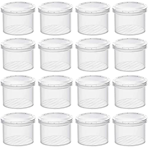 AOTOPYU Vergrößernde Lupendose(16er Pack), Becherlupen für Kinder & Erwachsene Forscher Set Klares Lupenglas für Kinder, Tragbare Becherlupe für Käfersammeln, Insekten Forscherset Kinder von AOTOPYU