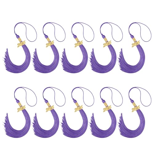 AOYUDJ 2025 Graduation Caps Quasten Graduation Hut Dekorationen mit Gold Charm für akademische Zeremonie und Party Dekorationen AOYUDJ 2025 Graduation Caps Quasten Graduation Hut Dekorationen mit Gold Charm für akademische Zeremonie und Party Dekorationen von AOYUDJ