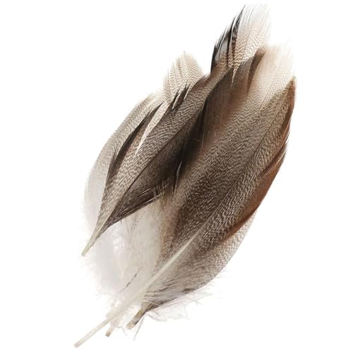 Stockentenflügel, 4–12 cm, für Bastelarbeiten, Halloween, Hochzeit, Dekoration, Kleidung, Verzierung, Fliegenbinden, Zubehör, 50 Stück Stockentenflügel, 4–12 cm, für Bastelarbeiten, Halloween, Hochzeit, Dekoration, Kleidung, Verzierung, Fliegenbinden, Zubehör, 50 Stück von AOYUDJ