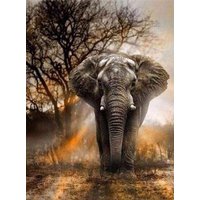 FiguredArt DP-163-Y - Diamond Painting, Elefant in der Savanne, Leinwand-Keilrahmen 40x50cm, Diamond Painting Set FiguredArt DP-163-Y - Diamond Painting, Elefant in der Savanne, Leinwand-Keilrahmen 40x50cm, Diamond Painting Set von AP COMMERCE