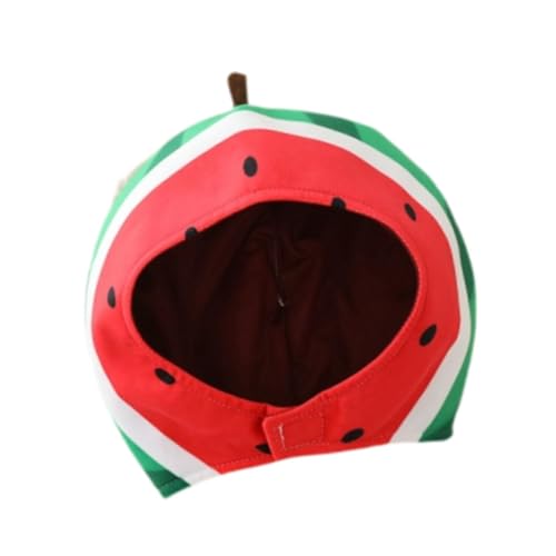 APLVFFZH HAS -Kopfschmuck für die Halloween -Karneval -Bühne Performance von APLVFFZH
