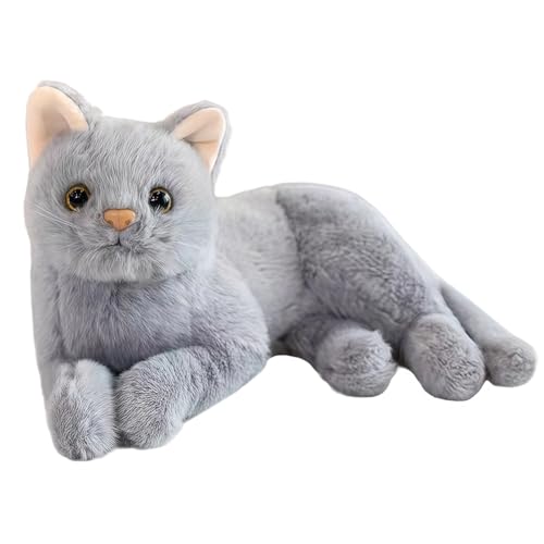 APPCRFM Katze Kuscheltier 30 cm, Grey Cat Plush Doll, Realistic Plüsch Katze Plüschtier, Süße Heimkissen Dekoration Geburtstags Geschenk für Kinder von APPCRFM