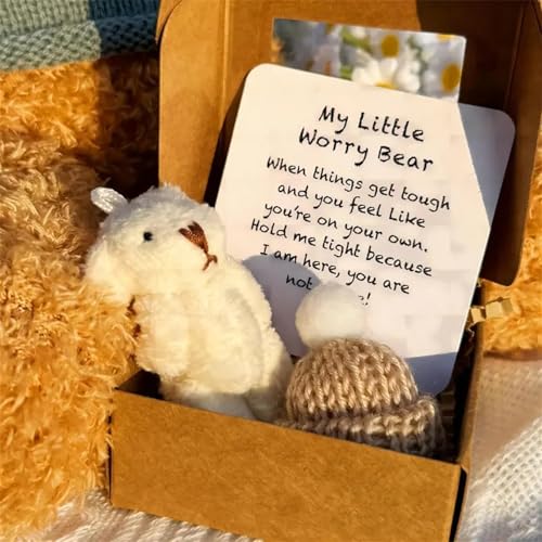 APRILADY Kleiner Bär in Box, Sorgenbär, Mini Pocket Hug Bears mit Token Karte, Emotional Erhebende Unterstützung Taschenbären Umarmung Plüschtier Positive Geschenke für Abschluss Geburtstag APRILADY Kleiner Bär in Box, Sorgenbär, Mini Pocket Hug Bears mit Token Karte, Emotional Erhebende Unterstützung Taschenbären Umarmung Plüschtier Positive Geschenke für Abschluss Geburtstag von APRILADY