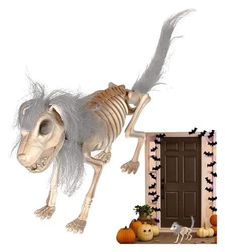 Hundeskelett-Dekor, Tiermodell | Flexible Totenkopffiguren, Dekoration, Halloween-Party-Requisiten mit Haaren for Hof, Rasen, Ornament, Außen- und Innendekoration Hundeskelett-Dekor, Tiermodell | Flexible Totenkopffiguren, Dekoration, Halloween-Party-Requisiten mit Haaren for Hof, Rasen, Ornament, Außen- und Innendekoration von AQCDPJYU