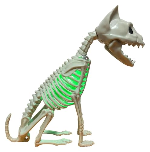Katzenschädel-Dekor, Kätzchenschädel-Skulptur mit Licht | Katzenstatue, Tierschädel, dekorativ for Halloween, Tag der Toten Katzenschädel-Dekor, Kätzchenschädel-Skulptur mit Licht | Katzenstatue, Tierschädel, dekorativ for Halloween, Tag der Toten von AQCDPJYU