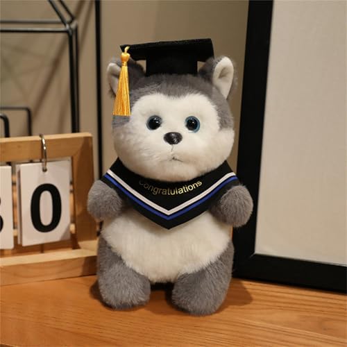 AQCQDQ Abschluss Kuscheltier Geschenk, Plüschtier Panda Fuchs Husky Hund Mit Bachelor-Hut Kuscheltier Abschlussfeier Deko, Abschluss Geschenk Schüler Kindergarten Grundschule (Husky,Blau) von AQCQDQ