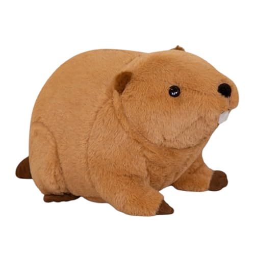 AQCQDQ Biber Maus Puppe Plüsch,Puppe Niedliche Hamster Kinder Puppe Kissen Geburtstagsgeschenk,Bibermaus Puppe Plüschtier,Plüsch-Kissen,ausgestopftes Plüschtier (60 cm,Dunkelbraun) von AQCQDQ