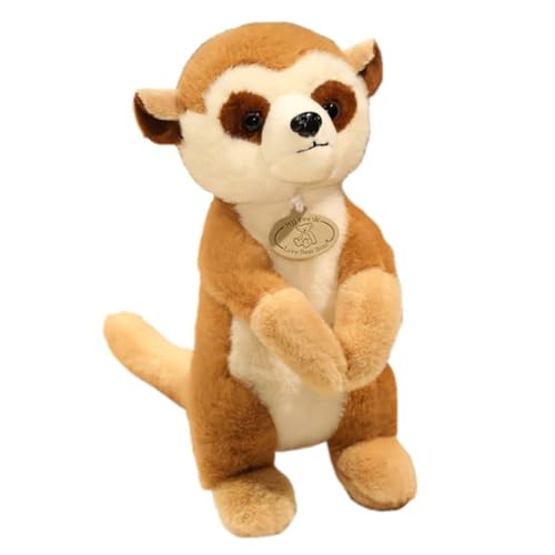 AQCQDQ Erdmännchen‌ Kuscheltier Fuchsmännchen‌ Plüschtier Waschbär Figur Plushie, Süße Weiche Flauschig Wilde Tiere Stofftier Plüschpuppe Spielzeug Geschenk Für Kinder (25 cm) von AQCQDQ