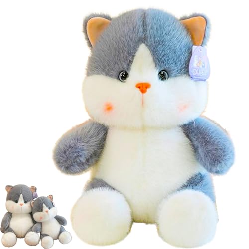 AQCQDQ Gewichtete Plüsch Stofftier PP Baumwolle gefüllt Katze Plüsch Kuscheltier, lebensechte ausgestopfte Katze,Geburtstagsgeschenk für Kinder Erwachsene (50 cm,Gray) von AQCQDQ