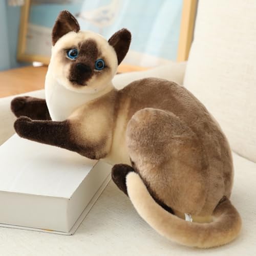 AQCQDQ Katze Kuscheltier, Realistic Plüsch Katze Puppe, Süße Plüschtiere Katze, Simulation Kätzchen Plüschtiere Stofftiere Spielzeug Lebensecht Geschenke für Freunde Kinder (26CM,Braun-L) von AQCQDQ