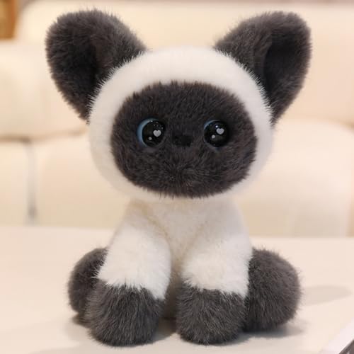 AQCQDQ Katze Kuscheltier, Simulation Katze Plüsch Spielzeug Puppe, Katze Kuscheltier Realistische Plüsch Spielzeug, Plüschtier Katze Stofftiere Kuscheltier für Baby Kinder Jungen Mädchen (24cm,Grau) AQCQDQ Katze Kuscheltier, Simulation Katze Plüsch Spielzeug Puppe, Katze Kuscheltier Realistische Plüsch Spielzeug, Plüschtier Katze Stofftiere Kuscheltier für Baby Kinder Jungen Mädchen (24cm,Grau) von AQCQDQ