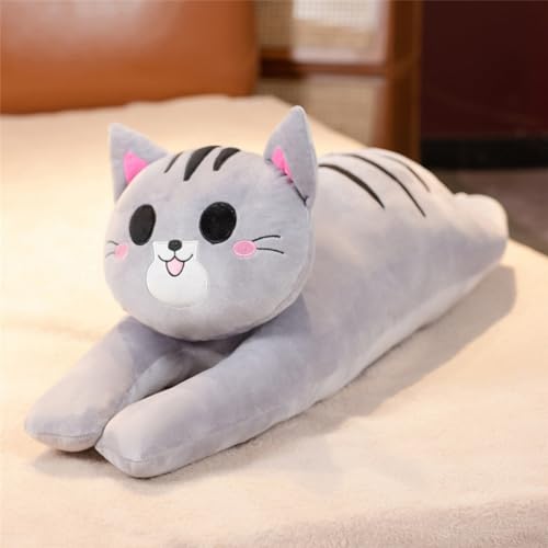 AQCQDQ Katze Plüschkissen, Süße Plüschtiere Katze, Stofftiere Katzen Kissen Lang Kätzchen Kuscheltier, Niedliche Katze Puppe Kuscheltier Geschenke für Freunde Kinder (80cm,Grau) von AQCQDQ