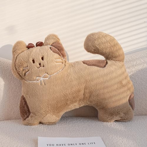 AQCQDQ Katze Plüschkissen, Süße Plüschtiere Katze Kuscheltier, Stofftiere Kätzchen Kuscheltier, Kawaii Katze Puppe Kissen Spielzeug Geschenke für Mädchen Kinder (Braun) von AQCQDQ