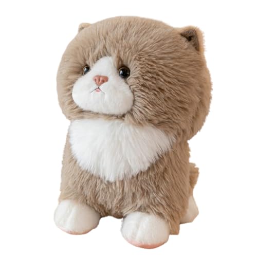 AQCQDQ Katze Plüschtier,Kuscheltier Katze Lebensecht,Realistischen Katze Plüschtier Stofftier Kawaii Flauschiges Plüschtier,Stofftier Katze für Babys Jungen,Mädchen (35cm,Braun) von AQCQDQ