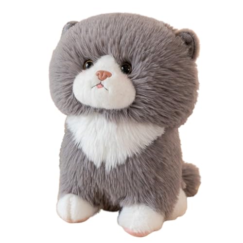 AQCQDQ Katze Plüschtier,Kuscheltier Katze Lebensecht,Realistischen Katze Plüschtier Stofftier Kawaii Flauschiges Plüschtier,Stofftier Katze für Babys Jungen,Mädchen (35cm,grau) von AQCQDQ