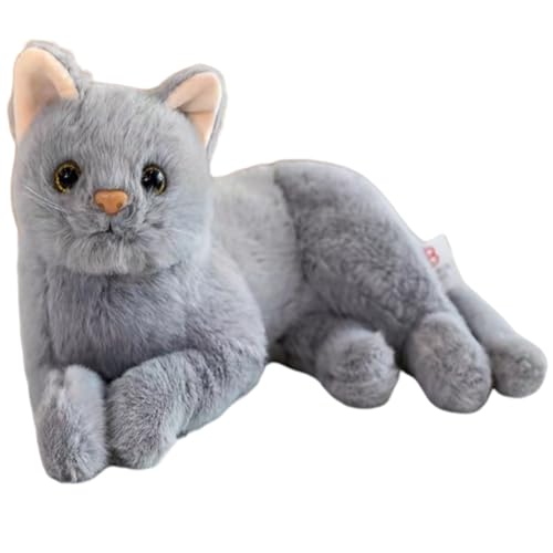 AQCQDQ Katzenkuschelspielzeug, Katzenplüschpuppen, kuschelige niedliche Begleiterpuppe, Katzenspielzeug, niedliches Katzenspielzeuggeschenk für Kinder. (30 cm,Gray) von AQCQDQ