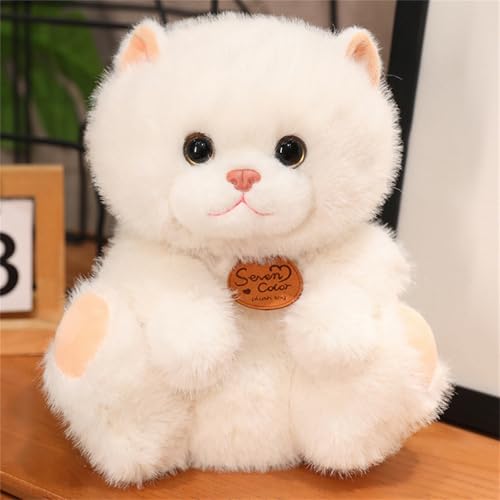 AQCQDQ Kuscheltier Katze Lebensecht, Lebensechte Katze Plüschtier, Stofftier Kopfkissen Plüsch Katzenform Kissen, Niedliche Kätzchenpuppe, Kuscheltier Spielzeug für Kinder Geschenk (35 cm,Weiß-B) AQCQDQ Kuscheltier Katze Lebensecht, Lebensechte Katze Plüschtier, Stofftier Kopfkissen Plüsch Katzenform Kissen, Niedliche Kätzchenpuppe, Kuscheltier Spielzeug für Kinder Geschenk (35 cm,Weiß-B) von AQCQDQ