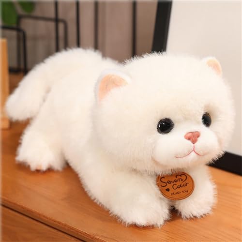 AQCQDQ Kuscheltier Katze Lebensecht, Lebensechte Katze Plüschtier, Stofftier Kopfkissen Plüsch Katzenform Kissen, Niedliche Kätzchenpuppe, Kuscheltier Spielzeug für Kinder Geschenk (35 cm,Weiße-A) von AQCQDQ
