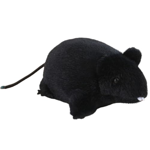 AQCQDQ Maus Plüschtier 20cm Weiches Kuscheltier Kuscheltier Maus, Plüsch Maus Kuscheltier Stofftier Spielzeug,Spielzeug Schlafkissen Geschenk für Kinder Mädchen Jungen zu Geburtstag, (11cm,Schwarz) AQCQDQ Maus Plüschtier 20cm Weiches Kuscheltier Kuscheltier Maus, Plüsch Maus Kuscheltier Stofftier Spielzeug,Spielzeug Schlafkissen Geschenk für Kinder Mädchen Jungen zu Geburtstag, (11cm,Schwarz) von AQCQDQ
