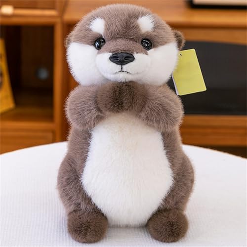 AQCQDQ Otter Plüschtier, Otter Kuscheltier Otter, Niedliches Plüschtier zum Kuscheln und Spielen, Plushie Puppen Stofftier Geschenke für Kinder (35 cm) von AQCQDQ