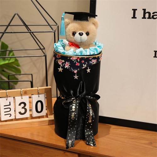 AQCQDQ Personalisierter Abschluss Teddybär, 32 cm Teddybär Plüschtier, Niedliches Spielzeug,Bachelor Geschenk Teddybär Niedlicher Teddybär Mini Teddybär,Geschenke zum Bachelor Abschluss (Hellblauer) von AQCQDQ