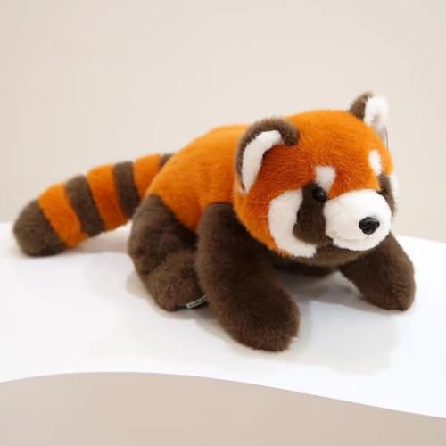 AQCQDQ Roter Panda Plüschtier, Kuscheltier Roter Panda Plush, Kuscheltier Waschbär Plüschtier, Flauschiger Stofftier Waschbär Puppen Kissen zum Spielen, Sammeln & Kuscheln (30cm,Braun) von AQCQDQ