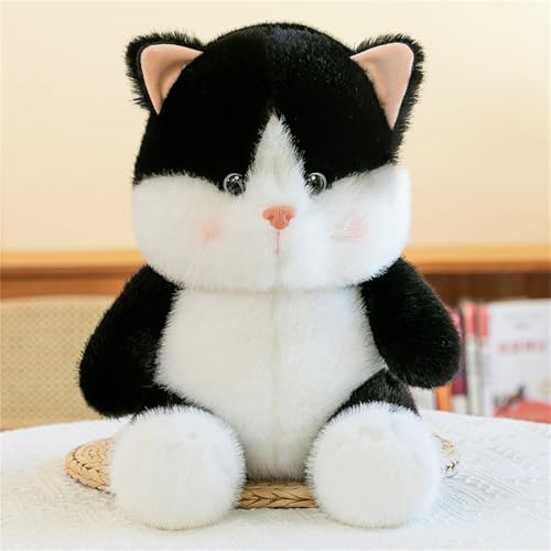 AQCQDQ Simulation Katze Plüschtier, Plüsch-Katze Kuscheltier, Nette Katze Puppe Flauschigen, Niedliche Katzenpuppe Plüschtier, Geschenkideen für Kinder (50 cm,Schwarz) von AQCQDQ