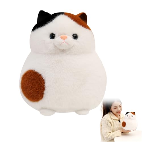 AQCQDQ Süße Plüschtiere Katze, Kätzchen Kuscheltier, Katze Puppe Stofftiere, Niedliche Weiche Spielzeug Katze Plüschkissen Kurzhaar Nette Katze für Mädchen und Kinder (20cm) von AQCQDQ