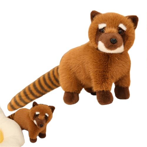 AQCQDQ Waschbär Kuscheltier, Waschbären Plüschtier Flauschiger Stofftier Waschbär Zum Spielen, Sammeln & Kuscheln, Realistische Gemütliches Schmusetier Plüsch Spielzeug Puppe Geschenk (Braun) von AQCQDQ