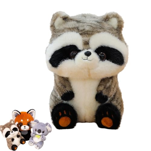 Koala Plüschtier, Koala Waschbär Kuscheltier, Roter Panda Kuscheltier Waschbär Spielzeug, Niedlich Koala Bär Waschbär Stofftier zum Kuscheln und Spielen, für Kinder & Erwachsene (25cm,Waschbär) von AQCQDQ