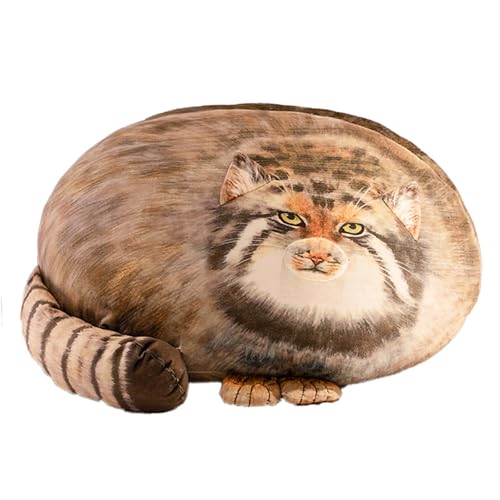 großes Katzen Plüsch Kissen,Kuscheltier Katze Plüschtier Kawaii Plüsch,Niedliche Steppenkatze Stofftiere,Molliges Steppen kat zen kissen,Wurfkissen Kinder Geschenk für Mädchen und Jungen (50 cm) großes Katzen Plüsch Kissen,Kuscheltier Katze Plüschtier Kawaii Plüsch,Niedliche Steppenkatze Stofftiere,Molliges Steppen kat zen kissen,Wurfkissen Kinder Geschenk für Mädchen und Jungen (50 cm) von AQCQDQ