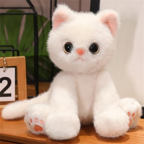 kurzhaarkatze Plüschtier, Cat Plüsch Kätzchen Kuschelige, Nette Katze Puppe Kuscheltier, Niedliche Simulation Katzenpuppe, Geschenk für Kinder Jeglichen Alters (35 cm,Weiß) von AQCQDQ