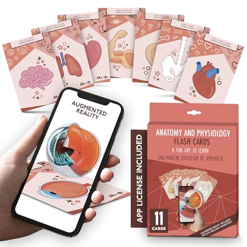 AR+ Body Planet - Body Cards: Augmented Reality-Karten zum Erlernen des menschlichen Körpers und der Anatomie von AR+ Body Planet
