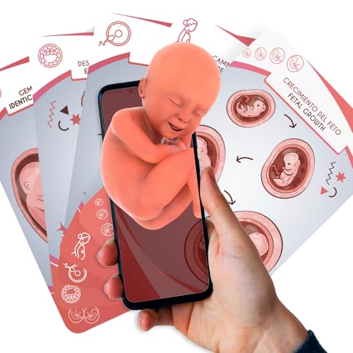 AR+ Body Planet: Babykarten, Lernkarten zur Geburt mit Augmented Reality von AR+ Body Planet