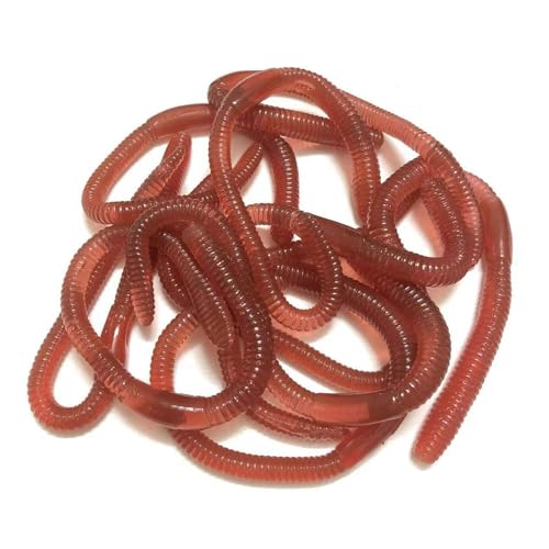 Gefälschter Wurm, Imitation Regenwurm, 10 Stück gefälschte Regenwurm, Wurmtrick, Erdwürmer, Erdwürmer, Erdwürmer, Bodenwürmer, Angelköder, Spaß von ARIOU