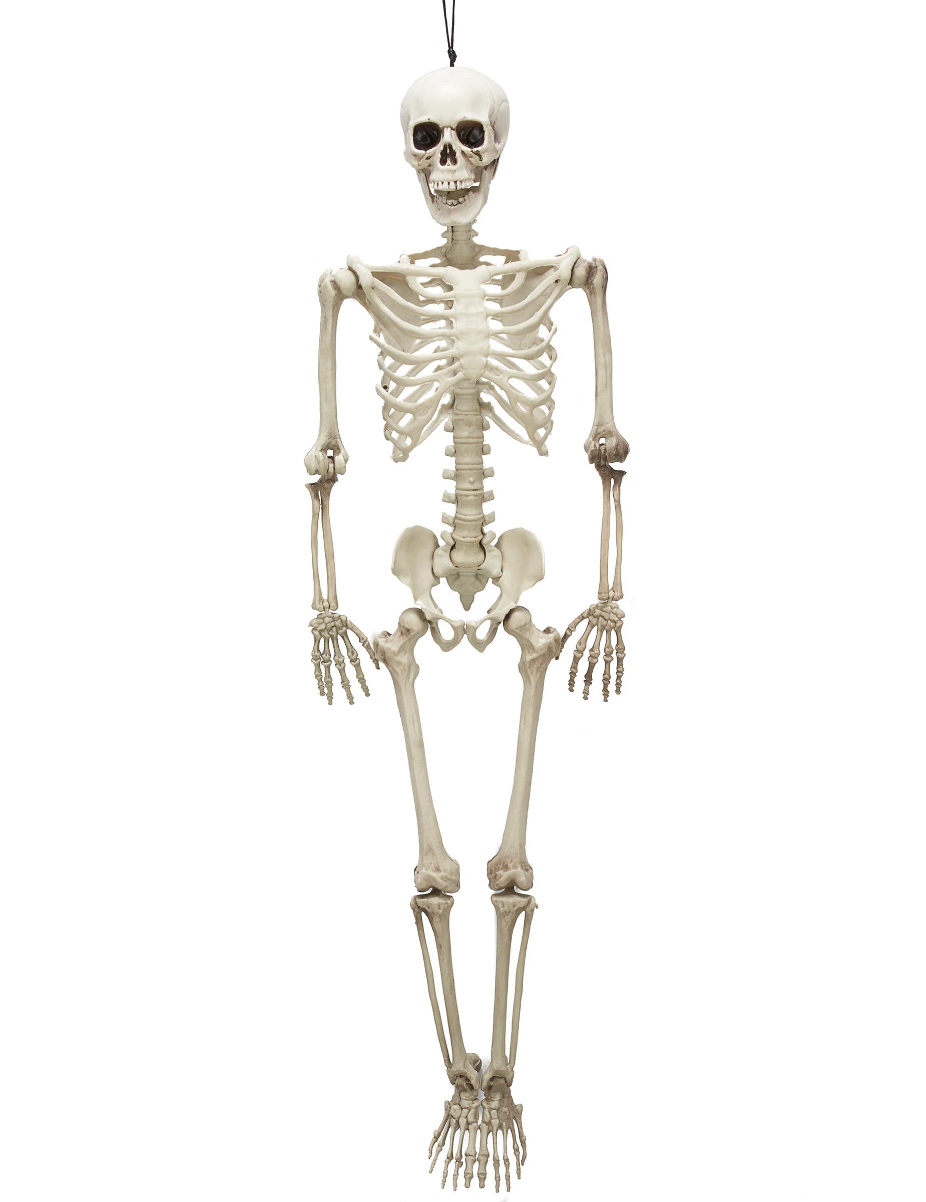 Bewegliches Skelett Halloween Party-Deko weiss 99x28x7cm von KARNEVAL-MEGASTORE