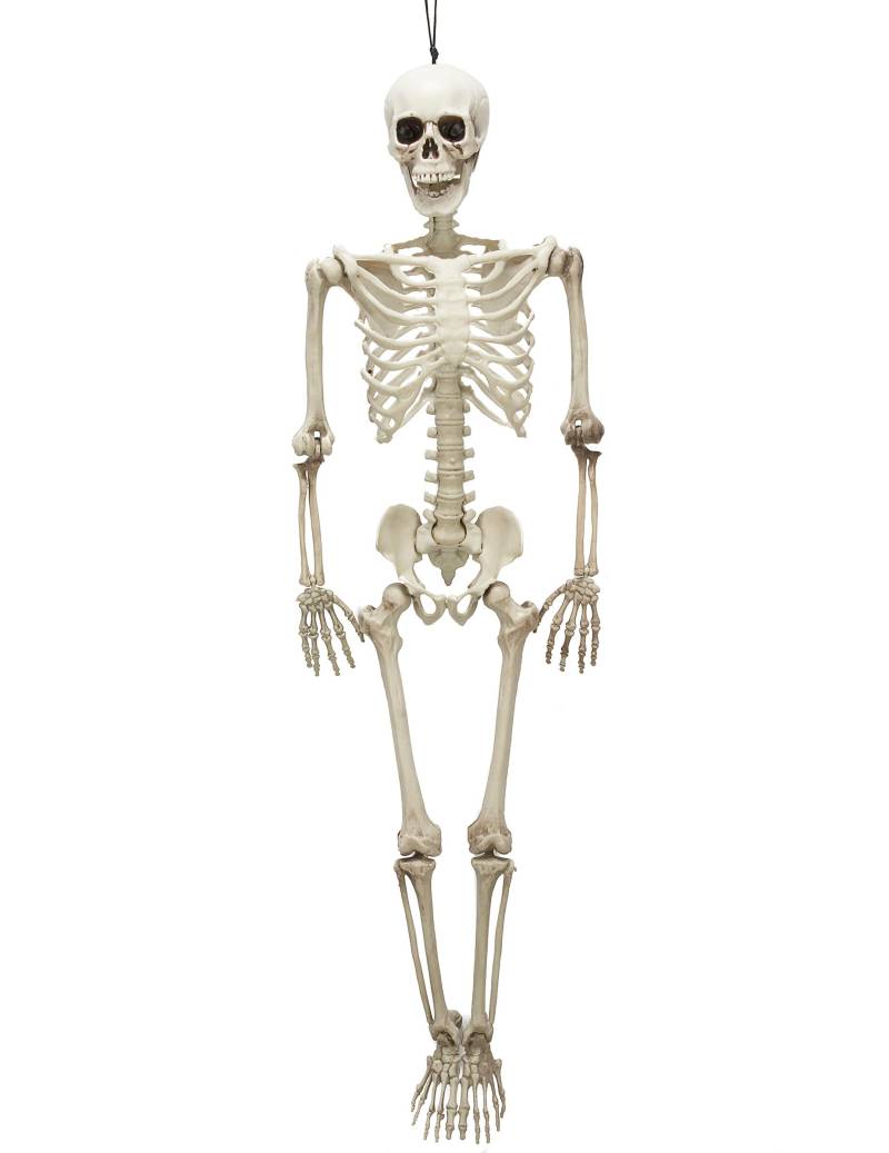 Bewegliches Skelett Halloween Party-Deko weiss 99x28x7cm von KARNEVAL-MEGASTORE