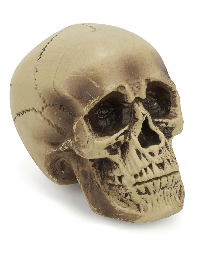 Halloween Dekoration Totenschädel beige-schwarz 18cm von KARNEVAL-MEGASTORE